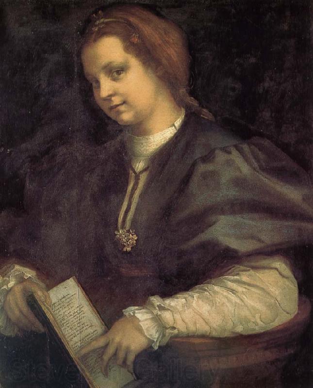 Andrea del Sarto Take the book portrait of woman France oil painting art